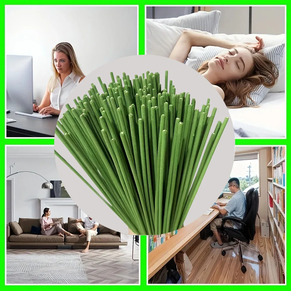 Home Fragrance Best - Palos difusores de caña, aromaterapia de