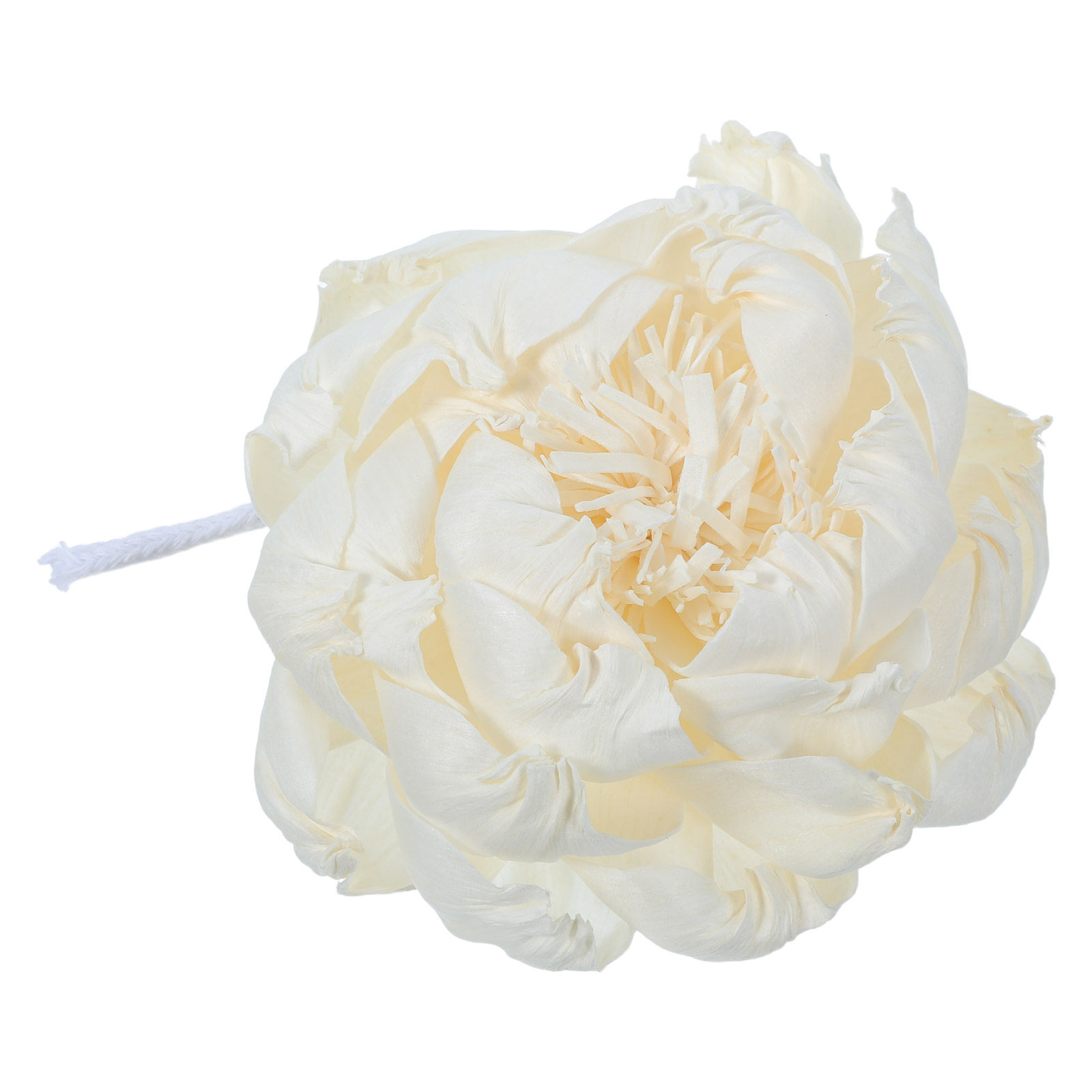 Difusor de Aroma con Cabeza de - Home Fragrance Usa reseña y precio