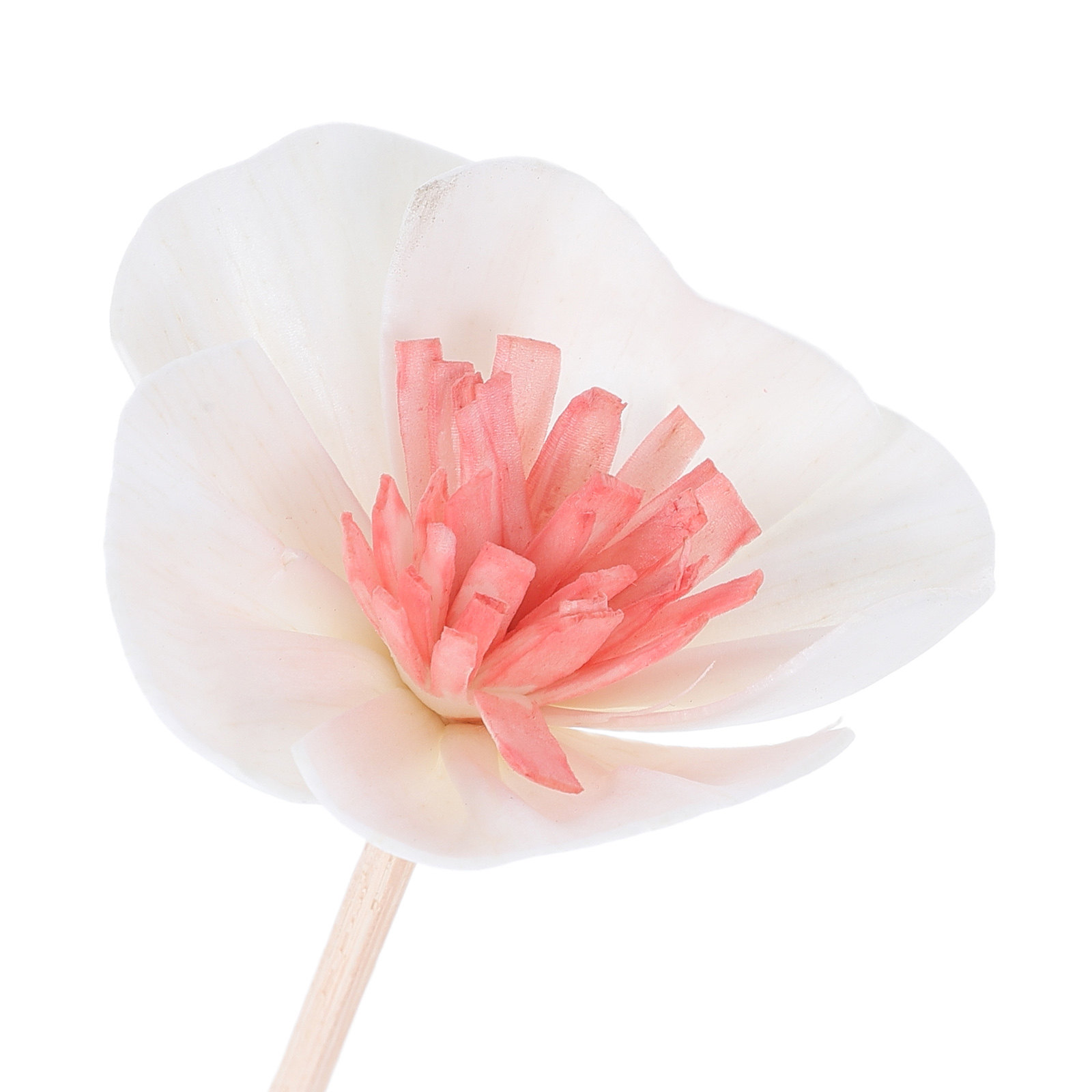 10 unidades de varillas difuso - Home Fragrance Usa reseña y precio